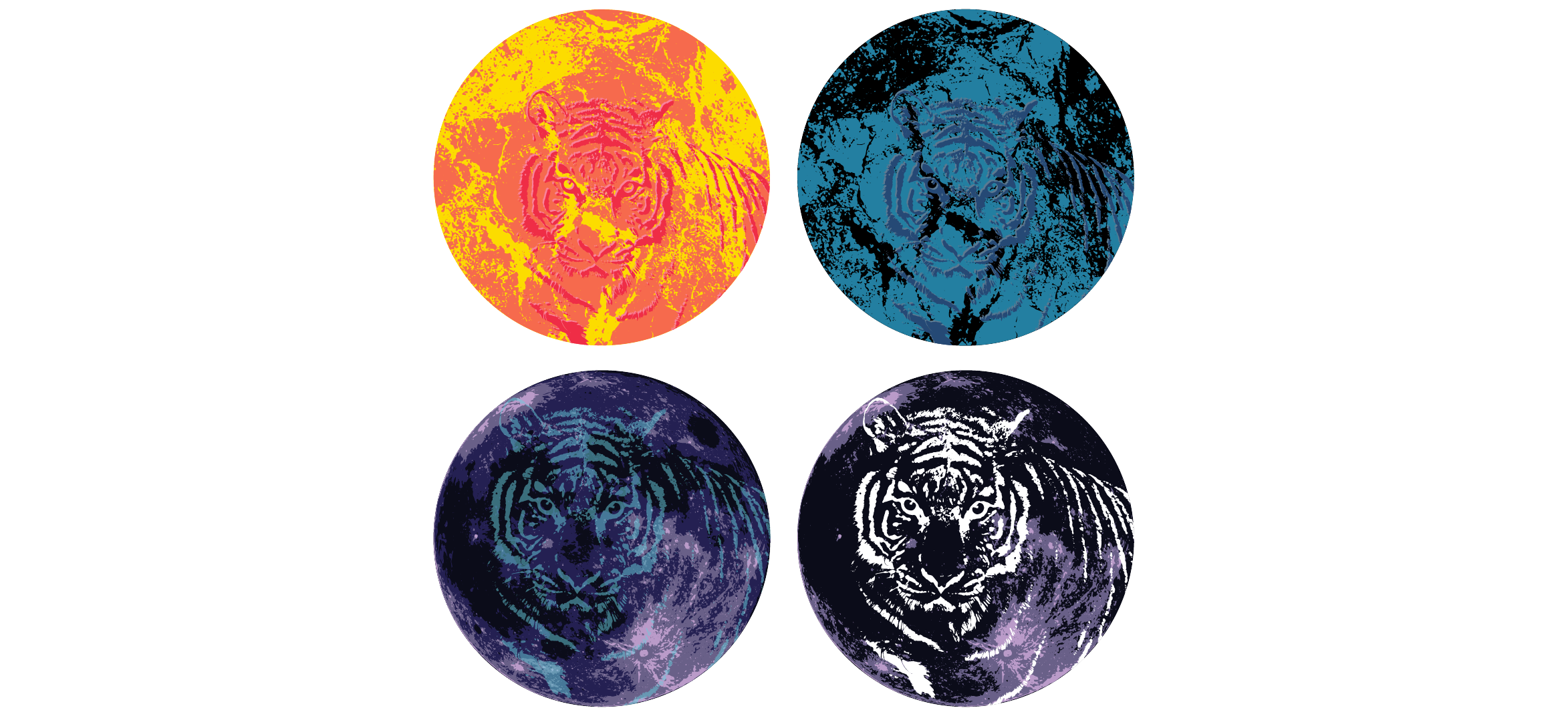 tiger cirlces